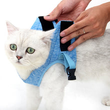 Load image into Gallery viewer, Cat Leash Pet Chest Harness Leash, S, M, L