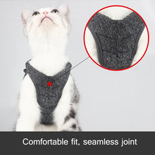 Load image into Gallery viewer, Cat Leash Pet Chest Harness Leash, S, M, L