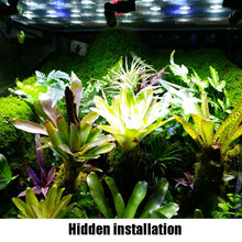 Load image into Gallery viewer, MS-PT02-A Reptile Pet Breeding Ecological Landscape Rainforest Tank Universal Spray Atomization Cooling Nozzle, MS-PT02-A