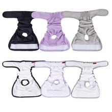 Load image into Gallery viewer, Pet Physiological Pants Pet Waterproof Panties, XS, S, M, L, XL