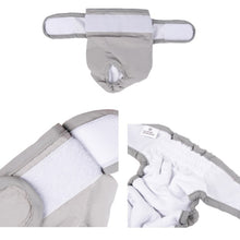Load image into Gallery viewer, Pet Physiological Pants Pet Waterproof Panties, XS, S, M, L, XL