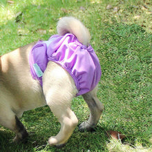 Load image into Gallery viewer, Pet Physiological Pants Pet Waterproof Panties, XS, S, M, L, XL