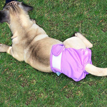 Load image into Gallery viewer, Pet Physiological Pants Pet Waterproof Panties, XS, S, M, L, XL