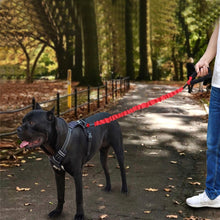 Load image into Gallery viewer, HCPET Dog Traction Rope Pet High-Elastic Explosion-Proof Elastic Rope, 75cm, 120cm