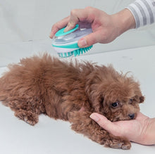 Load image into Gallery viewer, Pet Bath Brush Dog Massage Cleaning And Beauty Products, Green, Blue