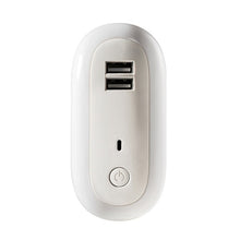 Load image into Gallery viewer, Remote Control Timer Dimming Night Light Bedroom Socket LED Wall Light, CN Plug, Dual-USB, Regular