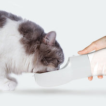 Load image into Gallery viewer, Pet Dual-purpose Accompanying Cup Segmented Water And Food Integrated Pet Cup Portable Waterer, Silver Grey, Pink, Grass Green, Ice Lake Blue