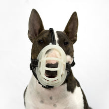 Load image into Gallery viewer, Fluorescent Dog Mouth Cover Pet Masks Anti-Bite And Bark Stopper Pet Supplies, Number 1, Number 2, Number 3, Number 4, Number 5