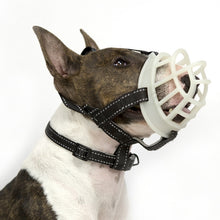 Load image into Gallery viewer, Fluorescent Dog Mouth Cover Pet Masks Anti-Bite And Bark Stopper Pet Supplies, Number 1, Number 2, Number 3, Number 4, Number 5