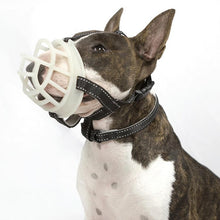 Load image into Gallery viewer, Fluorescent Dog Mouth Cover Pet Masks Anti-Bite And Bark Stopper Pet Supplies, Number 1, Number 2, Number 3, Number 4, Number 5