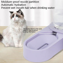 Load image into Gallery viewer, Pet Supplies Dog Cat Food Bowl Folding Rotating Double Bowl, Green Without Bowl, Purple Without Bowl, Pink Without Bowl, Gray Without Bowl, Green With Bowl, Purple With Bowl, Pink With Bowl, Gray With Bowl