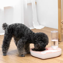Load image into Gallery viewer, Pet Bowl Love And Moisture-Proof Mouth Dual-Use Bowl Cat Automatic Water Bowl, Blue, Grey, Pink