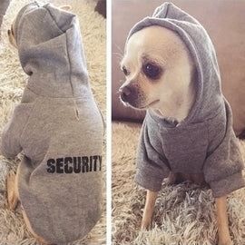 Autumn Winter Fleece Hooded Teddy Pet Dog Sweater Clothes, S, M, L