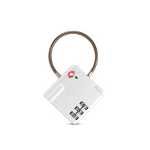 Load image into Gallery viewer, TSA Customs Combination Lock Anti-Theft Wire Padlock, Black, Silver, Red