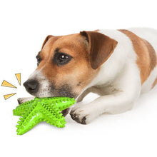 Load image into Gallery viewer, Starfish Voice Pet Dog Toy Molar Stick Leaking Food Dog Toothbrush, Lake Blue, Yellow, Green