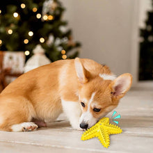 Load image into Gallery viewer, Starfish Voice Pet Dog Toy Molar Stick Leaking Food Dog Toothbrush, Lake Blue, Yellow, Green