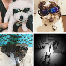 Load image into Gallery viewer, Dog Glasses Sunglasses Pet Glasses