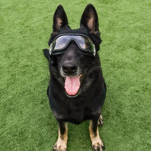 Load image into Gallery viewer, Pet Goggles Dog Transparent Glasses Waterproof Windproof Snowproof Dog Glasses, Transparent Glasses