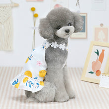 Load image into Gallery viewer, Pet Clothing Dog Cat Dress Bayberry Skirt, XS, S, M, L, XL