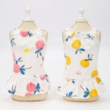 Load image into Gallery viewer, Pet Clothing Dog Cat Dress Bayberry Skirt, XS, S, M, L, XL