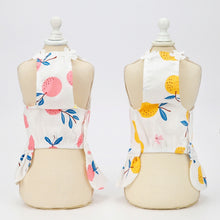 Load image into Gallery viewer, Pet Clothing Dog Cat Dress Bayberry Skirt, XS, S, M, L, XL