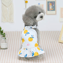 Load image into Gallery viewer, Pet Clothing Dog Cat Dress Bayberry Skirt, XS, S, M, L, XL