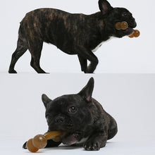 Load image into Gallery viewer, Nylon PU Dog Molar Stick Cleaning Dog Bite Toy, Large Double Head Arched Bone, Small Double Bone, Large Double Bone, Small Arched Bone, Large Arched Bone