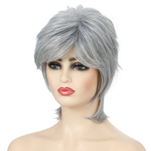 Load image into Gallery viewer, Short Hair Female Wigs Fluffy Fiber Set, Silver White