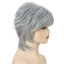 Load image into Gallery viewer, Short Hair Female Wigs Fluffy Fiber Set, Silver White