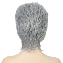 Load image into Gallery viewer, Short Hair Female Wigs Fluffy Fiber Set, Silver White