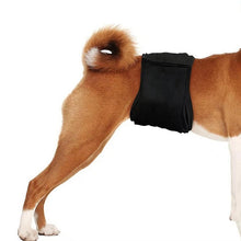 Load image into Gallery viewer, Male Dog Special Courtesy Belt Pet Physiological Pants, XS, S, M, L, XL