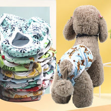 Load image into Gallery viewer, Female Dog Physiological Pants Dog Estrus Anti-Harassment Pants, M, L