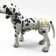 Load image into Gallery viewer, Female Dog Physiological Pants Dog Estrus Anti-Harassment Pants, M, L