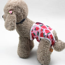 Load image into Gallery viewer, Female Dog Physiological Pants Dog Estrus Anti-Harassment Pants, M, L