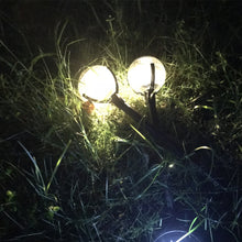 Load image into Gallery viewer, 2 PCS Light Control Solar Lawn Lamp Outdoor Garden Lights, 2 PCS Warm Light
