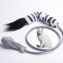 Load image into Gallery viewer, Creative Funny Cat Toy Simulation Fish Cat Toy Interactive Plush Airbag Toy, Sea Fish, Squid, Dog Tail, Horsetail