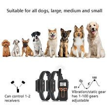 Load image into Gallery viewer, PaiPaitek PD529-2 Remote Training Dog Device Pet Training Supplies Anti-Barking Training Equipment, PD529-2