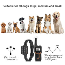 Load image into Gallery viewer, PaiPaitek PD529V-1 Training Dog Anti-Barking Device Vibration Collar 1000M Remote Control Distance Pet Training Supplies, PD529V-1
