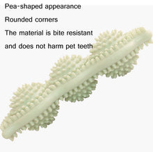 Load image into Gallery viewer, Dog TPR Chewing Teeth Stick Pet Interactive Training Bite-Resistant Toy, Blue, Green, Light Pink
