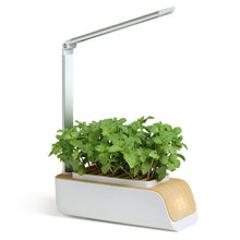 Load image into Gallery viewer, H003 Intelligent Hydroponic Vegetable Planting Machine Full-Spectrum Plant Growth Lamp Soil-Cultivation Vegetable Flower Pot