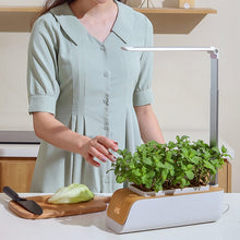 Load image into Gallery viewer, H003 Intelligent Hydroponic Vegetable Planting Machine Full-Spectrum Plant Growth Lamp Soil-Cultivation Vegetable Flower Pot