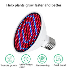 Load image into Gallery viewer, LED Plant Growth Lamp Floral Fill Light, 126 Beads