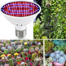 Load image into Gallery viewer, LED Plant Growth Lamp Floral Fill Light, 126 Beads