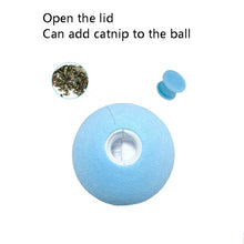 Load image into Gallery viewer, 3pcs Funny Cat Toy Ball Simulation Animal Vocal Ball, EVA Material, Wool Material