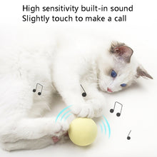 Load image into Gallery viewer, 3pcs Funny Cat Toy Ball Simulation Animal Vocal Ball, EVA Material, Wool Material