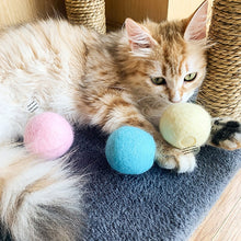 Load image into Gallery viewer, 3pcs Funny Cat Toy Ball Simulation Animal Vocal Ball, EVA Material, Wool Material