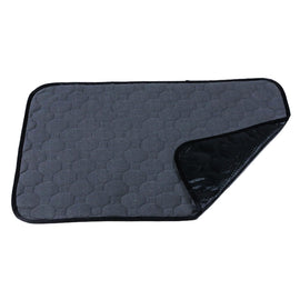 Car Pet Injection Pad Waterproof Pad Cat Dog Sofa Waterproof Diapholic Carpet Water Absorbing Pad, 2 PCS 50x40cm, 60x45cm, 67x50cm, 100x67cm, 100x135cm
