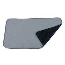 Load image into Gallery viewer, Car Pet Injection Pad Waterproof Pad Cat Dog Sofa Waterproof Diapholic Carpet Water Absorbing Pad, 2 PCS 50x40cm, 60x45cm, 67x50cm, 100x67cm, 100x135cm