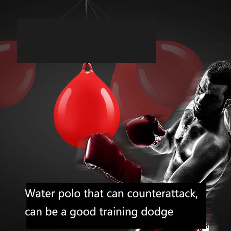 Water Injection Sandbag Household Hanging Type Boxing Water Ball Vent Ball