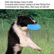 Load image into Gallery viewer, Pet Toy Flying Disc Pet Interactive Training Floating Water Bite-Resistant Soft Flying Disc, Orange, Black, Red, Purple, Blue, Yellow, Green